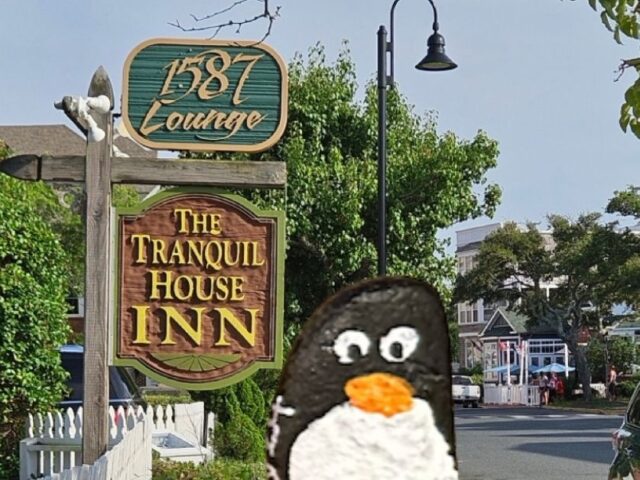 #370 – The Tranquil House Inn, North Carolina, USA