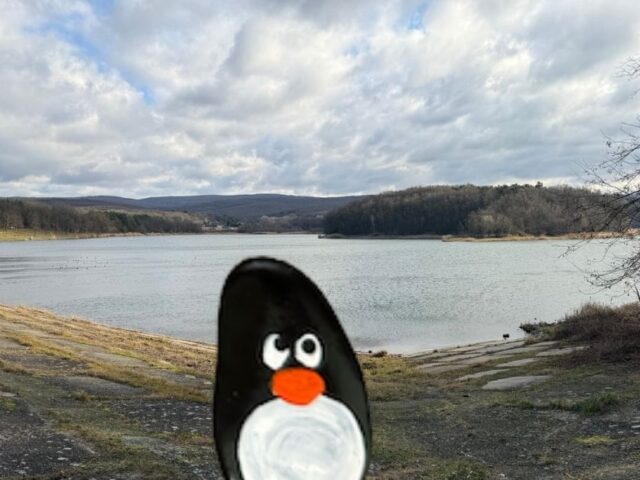 #615 – Lozorno Reservoir, Lozorno, Slovakia