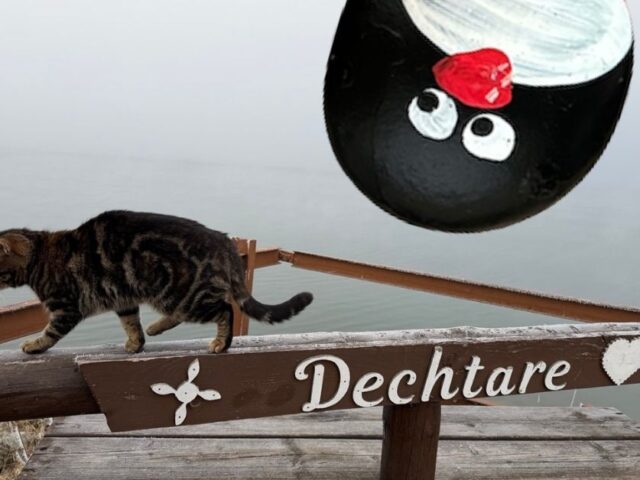 #681 – Dechrate, Liptovska Mara, Slovakia