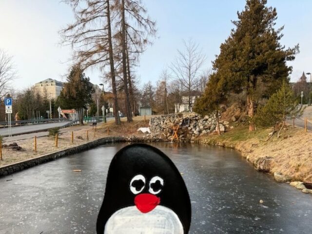 #700 – Nový Smokovec, High Tatras, Slovakia