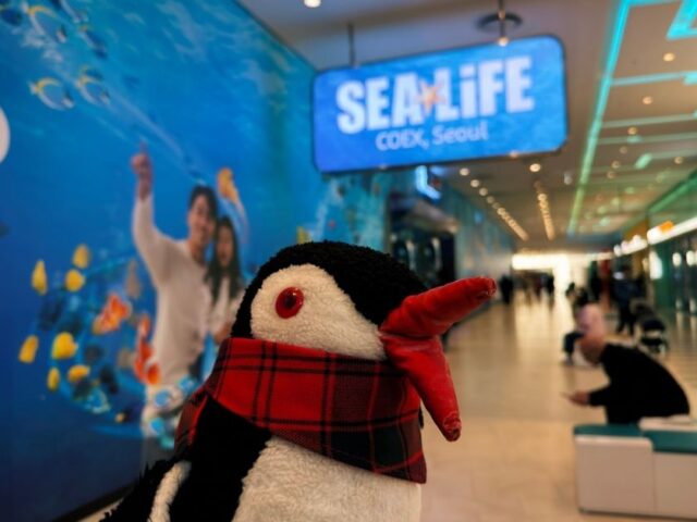 SEA LIFE COEX Aquarium Seoul Guide: What to Expect