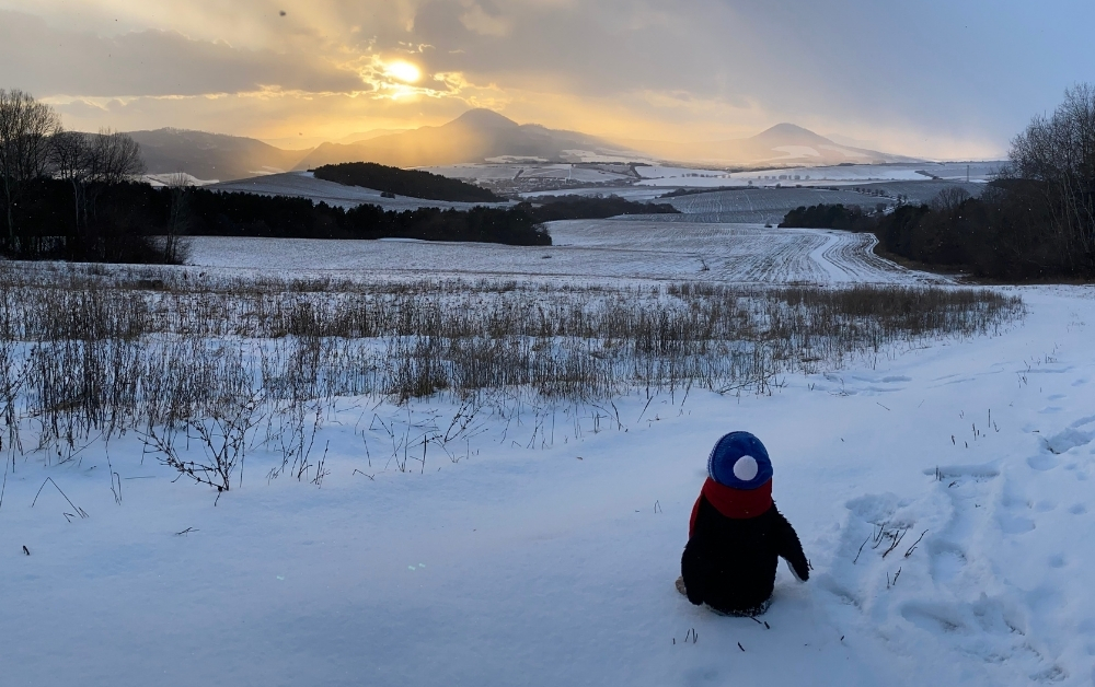 Why February Is the Best Month to Travel