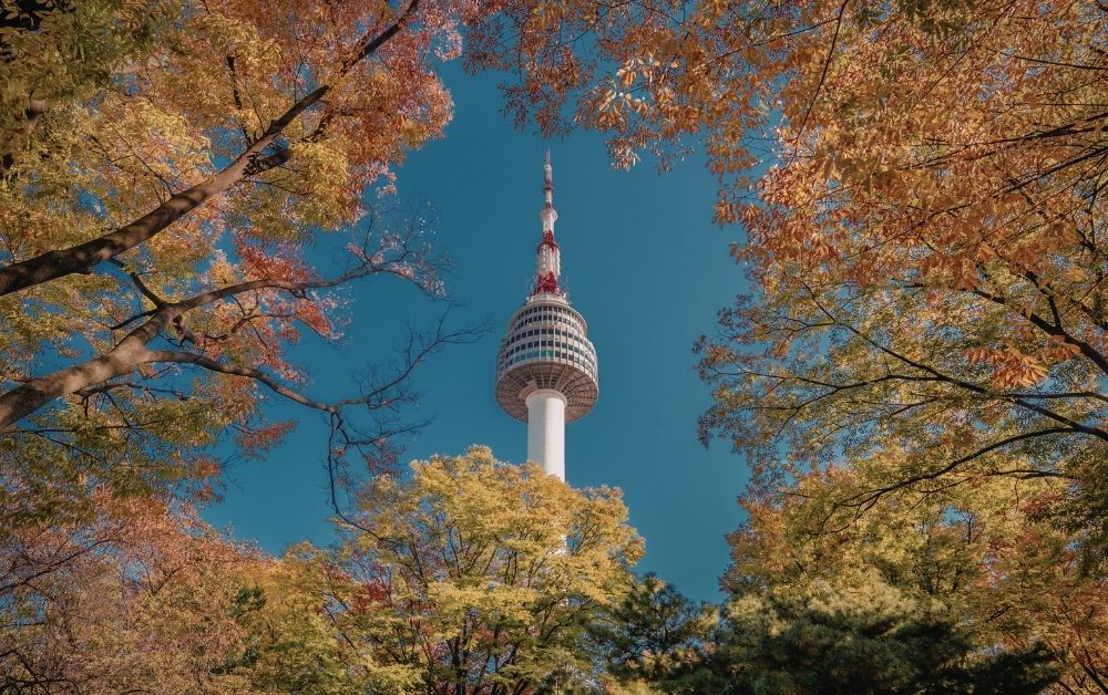 N Seoul Tower Visit Guide: Waddling to the Top of Seoul