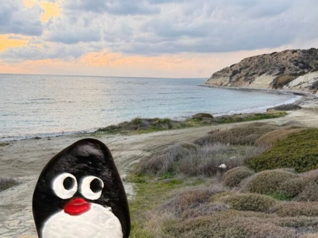 #928 – Aphrodite Picknic Spot, Cyprus
