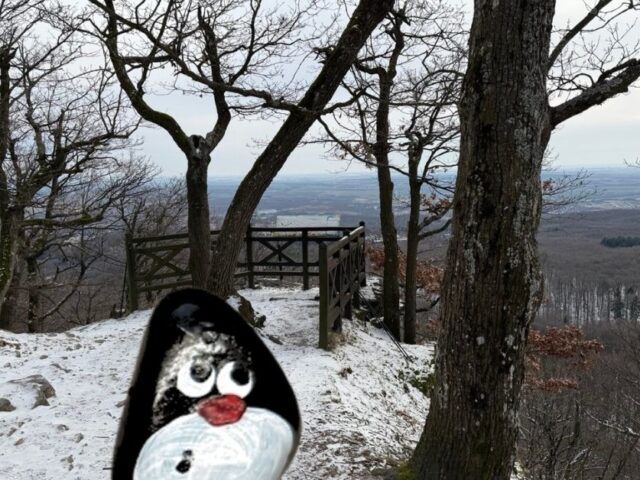 #932 – Zámčisko, Little Carpathians, Slovakia