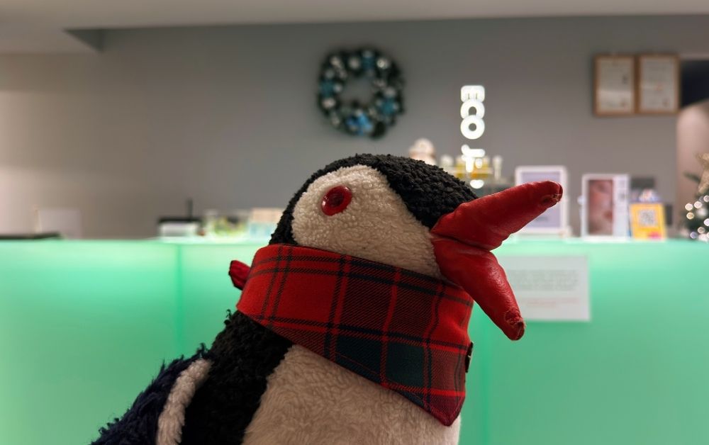 Scalp Treatment Review at EcoJardin MyeongDong