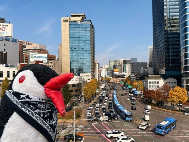 Waddling the Seoullo 7017 Walk & Observation Deck