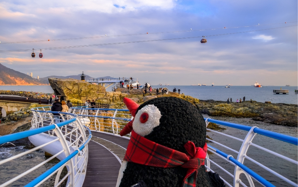 Busan Skywalks: Best Glass Walkways with Ocean Views