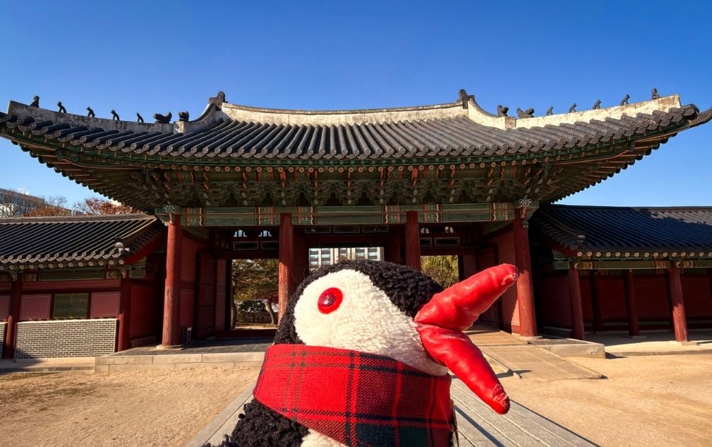 Changdeokgung Palace in Seoul: Why This Was Our Favorite Royal Palace