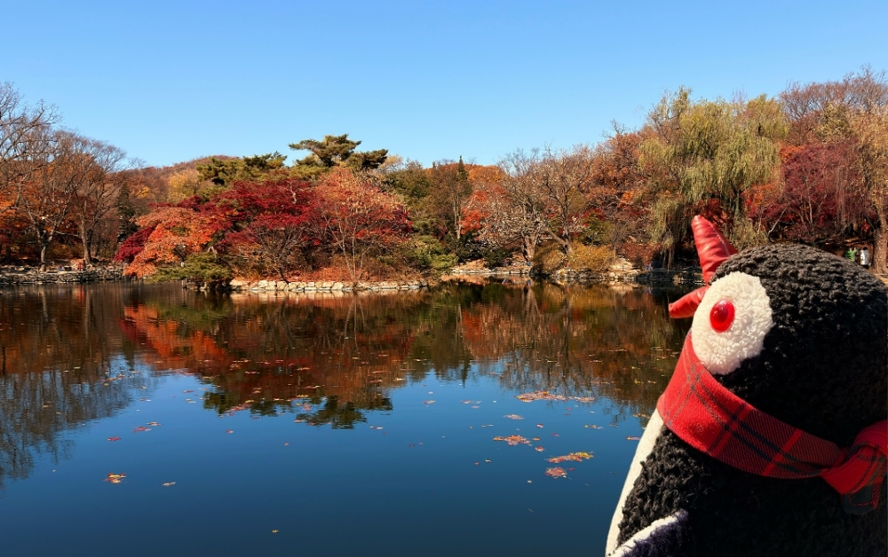 Changgyeonggung Palace in Seoul: A Quiet Palace Worth Exploring