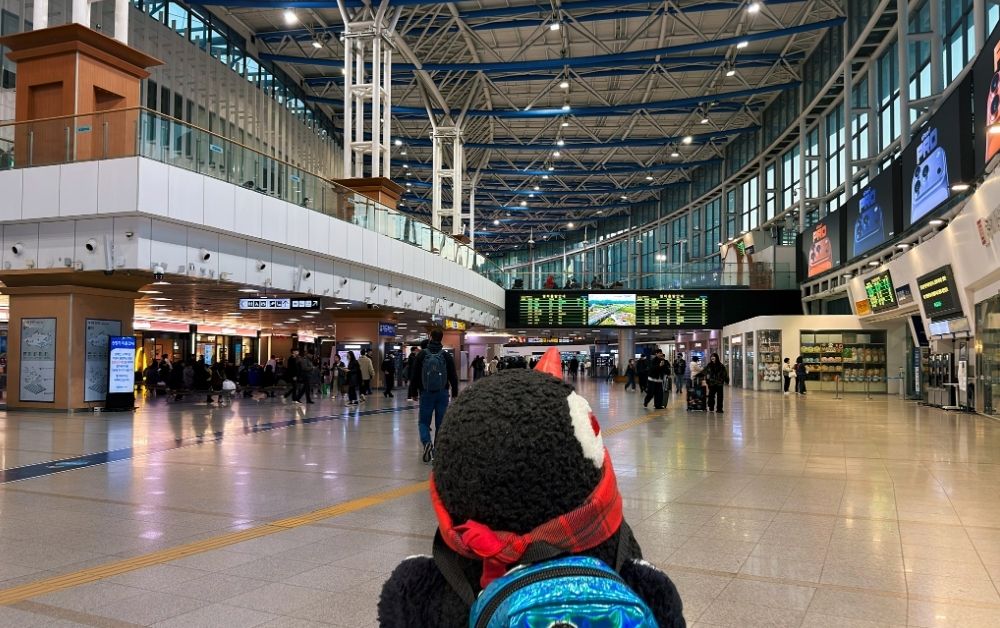 How to Get from Seoul to Busan: KTX Train Guide, Ticket Prices & Booking Tips