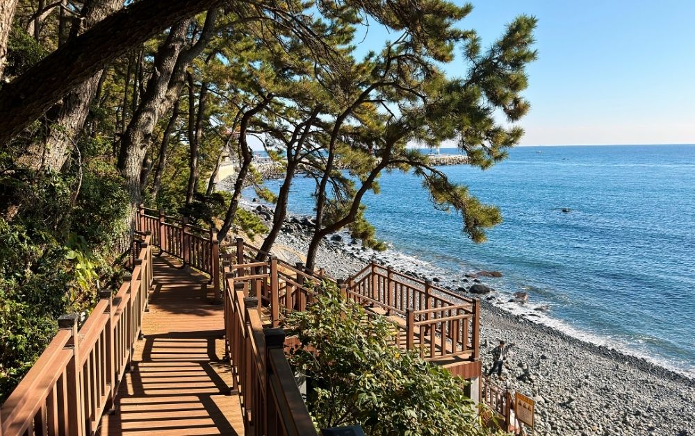 Moontan Road Busan: The Most Scenic Coastal Walk in Korea