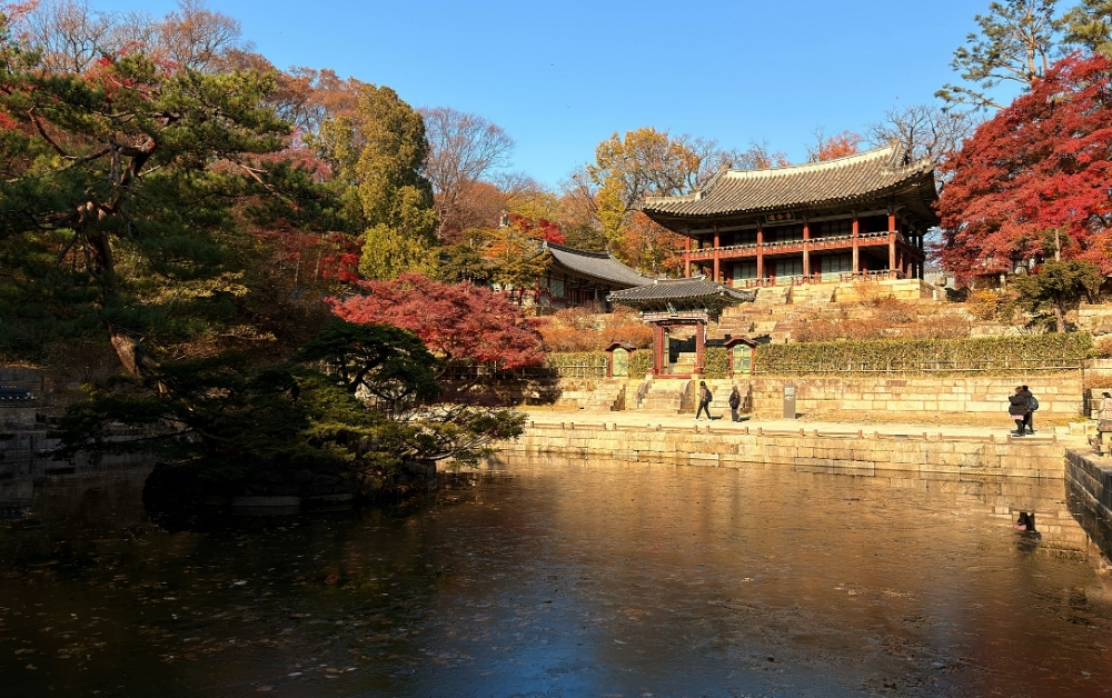 Visiting the Secret Garden in Seoul: What to Know Before You Go