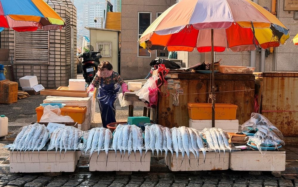 Waddling Through Jagalchi Market: Busan’s Famous Seafood Hub
