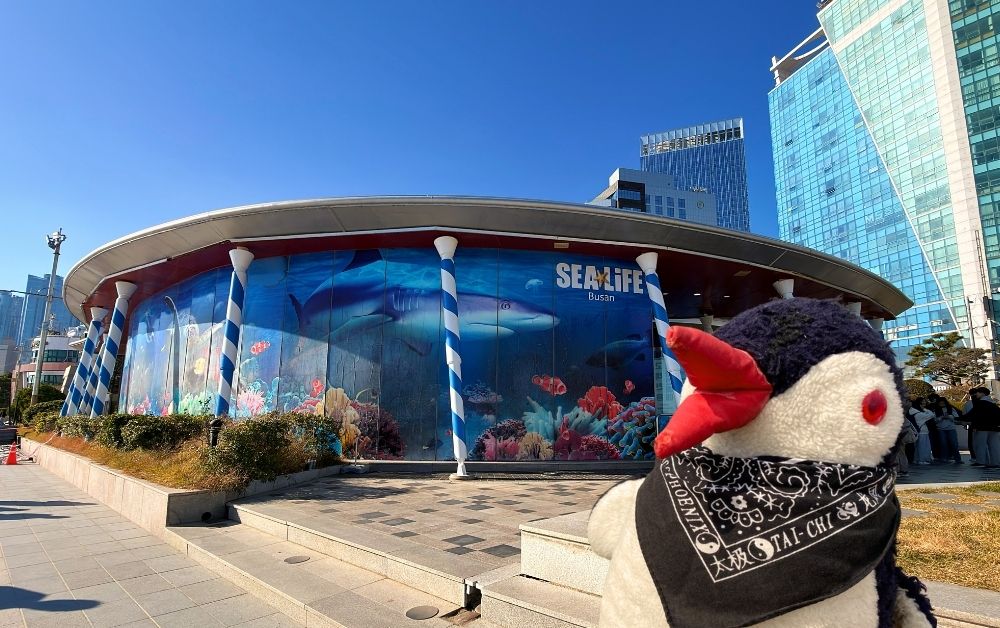 Exploring SEA LIFE Busan: Penguins, Sharks & Ocean Magic