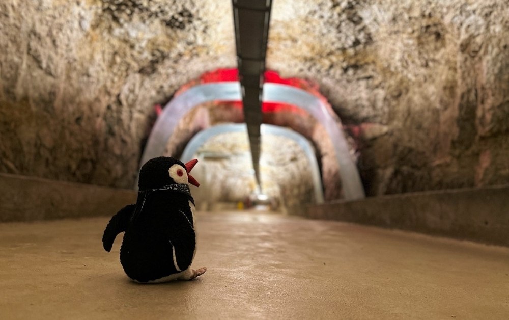 Zerostrasse Pula: Explore the Secret Tunnels 