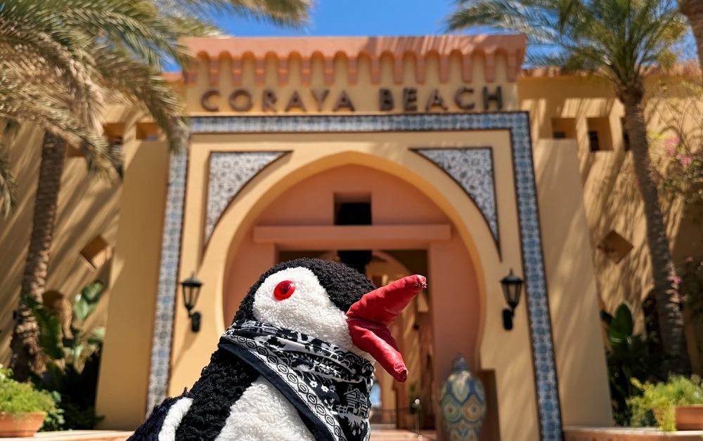 Steigenberger Coraya Beach Review: Adults-Only Luxury Resort in Marsa Alam, Egypt