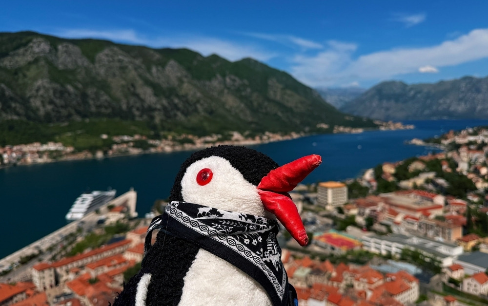 One Day Trip from Dubrovnik to Kotor