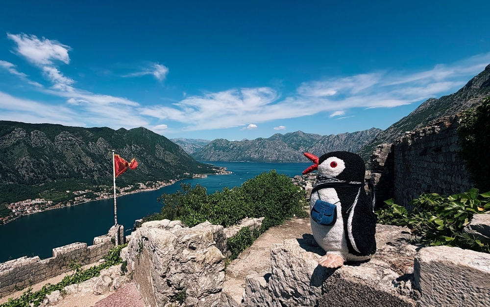Waddling to Kotor Fortress and the Citadel Views