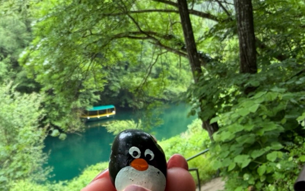 #1181 – Bush close to Vrelo Cave, Matka Canyon, North Macedonia