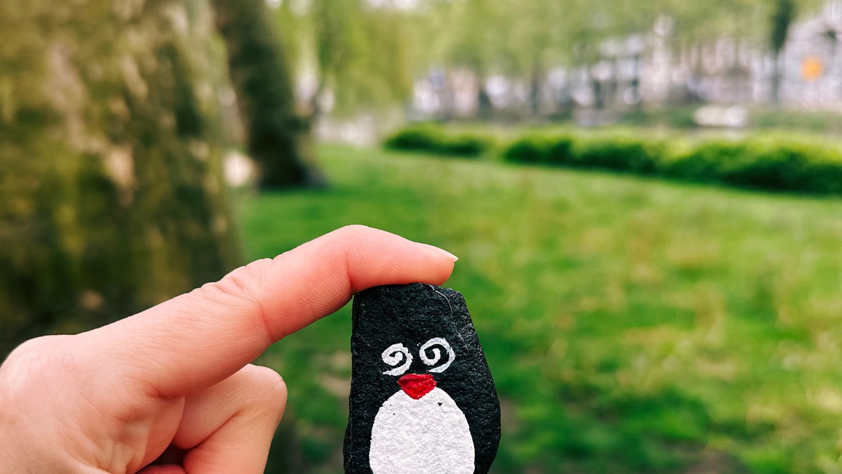 #150 - Weteringplantsoen, Amsterdam, Netherlands ⋆ Lifeguin