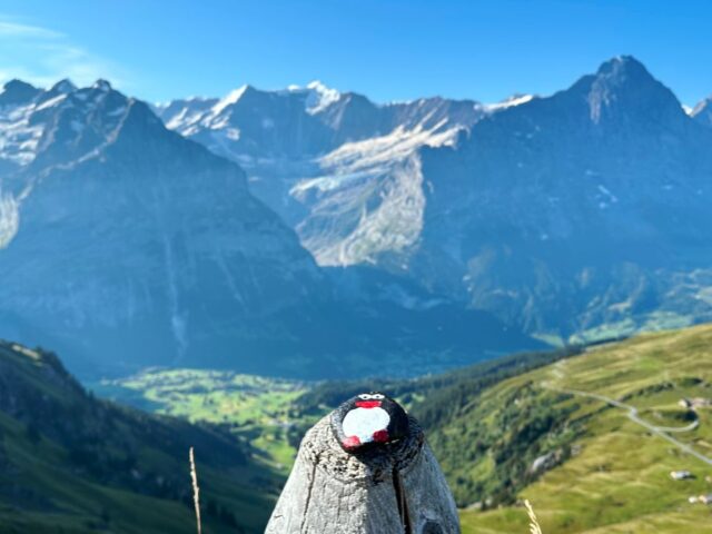 #184 – Bachalpsee, First, Switzerland