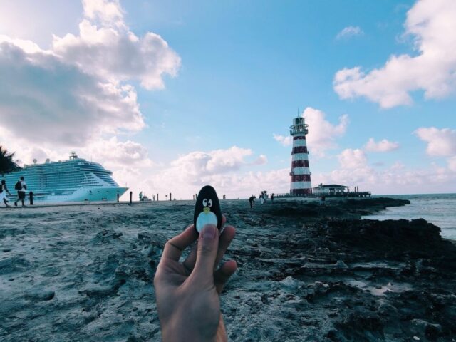 #80 – MSC Marine Reserve, Ocean Cay, Bahamas