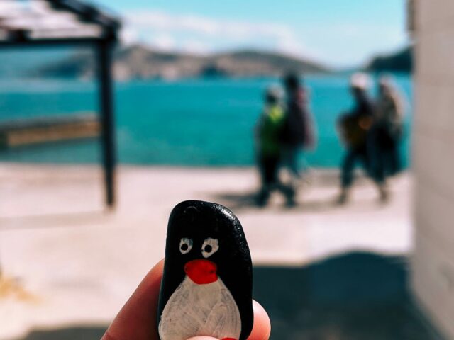 #259 – Stone Wall, Baška, Croatia