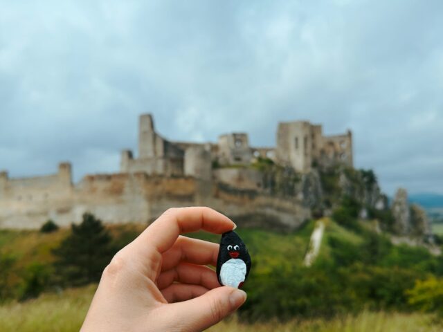 #313 – Beckov Castle, Beckov, Slovakia