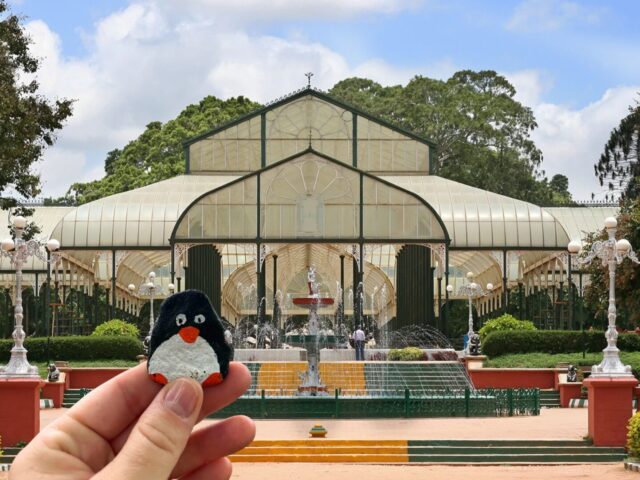 #285 – Botanical Garden, Bengalore, India