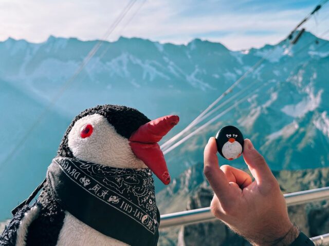 #65 – Thrill Walk, Birg, Switzerland