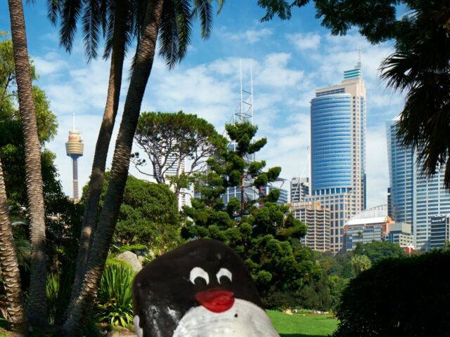 #428 – Botanic Gardens of Sydney, Sydney, Australia