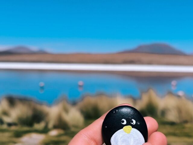 #98 – Cañapa Lake, Bolivia, South America