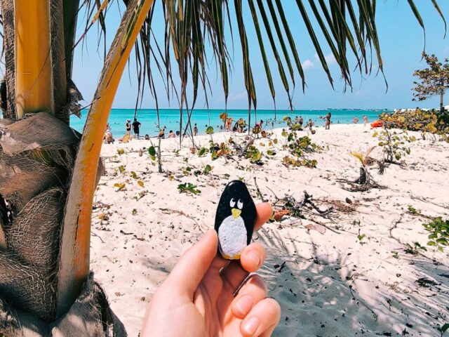 #78 – Grand Cayman, Cayman Islands, British Overseas Territory in the Caribbean