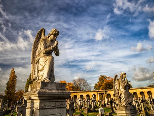 #104 – Brompton Cemetery, London, UK