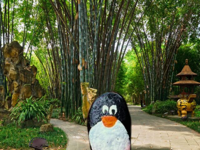#361 – People’s Park, Chengdu, China
