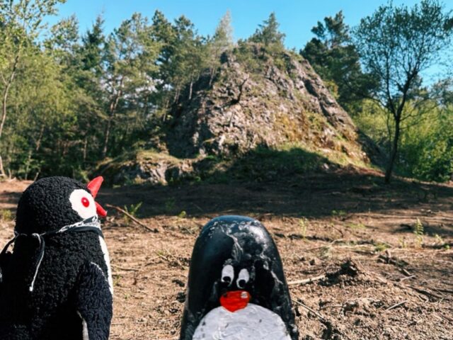 #474 – Sharp Rock, Chmelnica, Slovakia