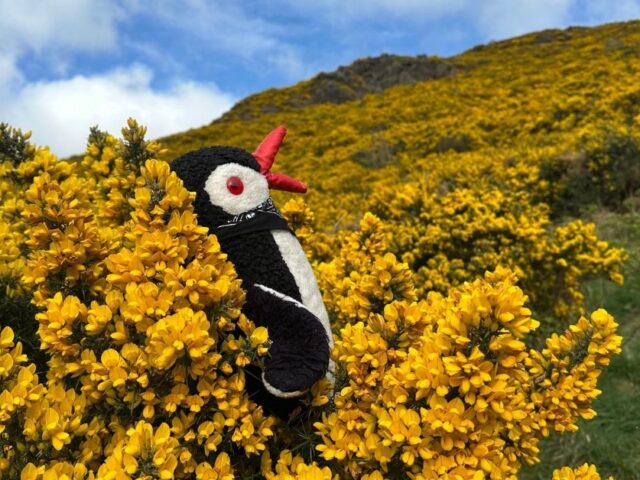 Our Trip to Scotland