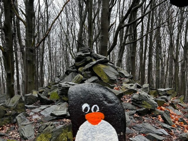 #230 – Devil’s Hill, Little Carpathians, Slovakia