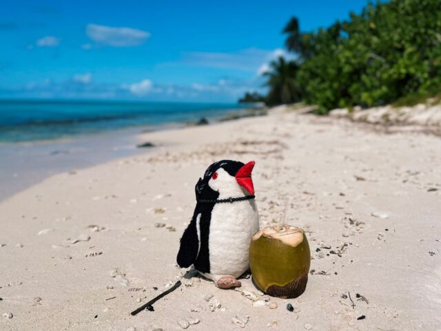 Discover the Magic of the Dominican Republic