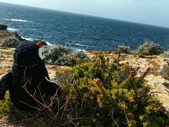 #67 – Dwerja Bay, Gozo, Malta