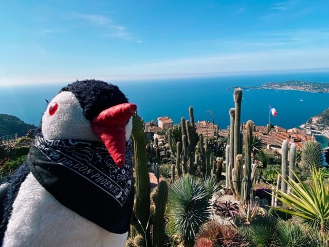#36 – Le Jardin Exotique d’Eze, Eze, France