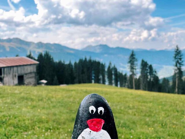 #180 – Fichtenschloss Rosenalm, Zell am Ziller, Austria
