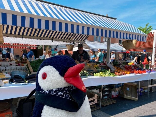 Cours Saleya: Nice’s Vibrant Flower and Antiques Market