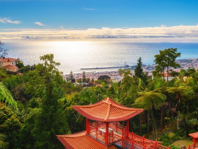 A Tropical Oasis in Funchal, Madeira