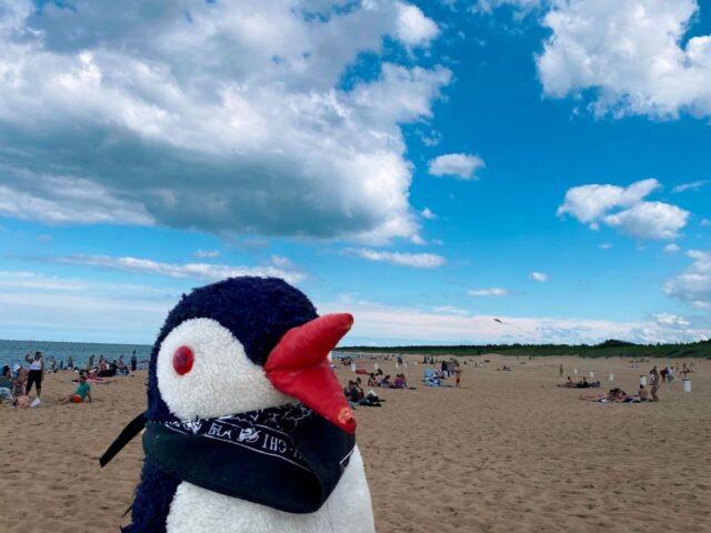 Top 3 Beaches in Gdańsk You Must Visit