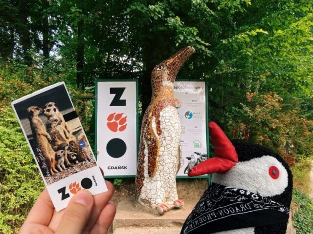 Gdańsk Zoo: Poland’s Largest Zoological Garden