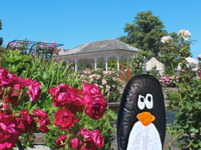 #262 – The Rose Garden, Gothenburg, Sweden