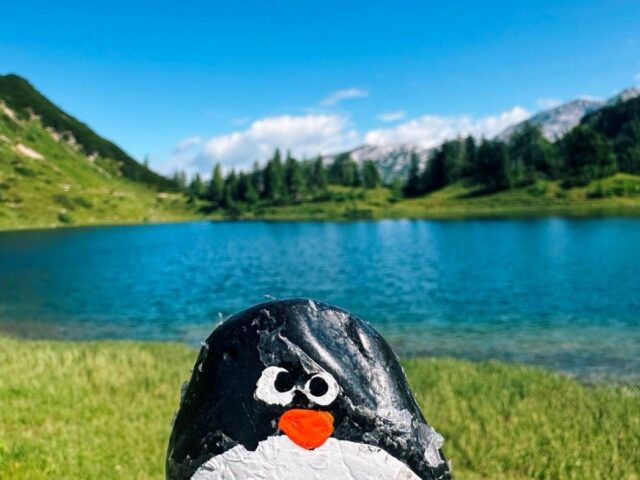#524 – Großsee, Tauplitzalm plateau, Austria