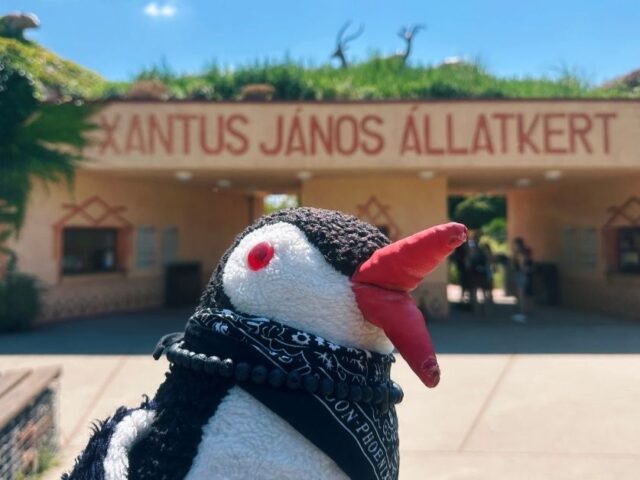 Your Ultimate Guide to Györ Zoo, Hungary